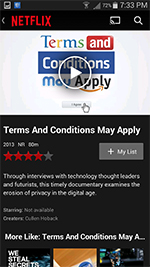 Terms and Conditions screen capture from Netflix